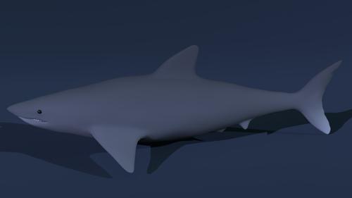 Quality Blender Shark preview image